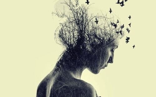 Opinie, nasze osobiste sądy o rzeczywistości