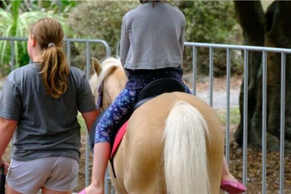 Terapia z udziałem koni: rodzaje i zalety