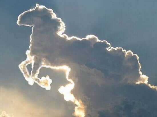 Koń z chmur