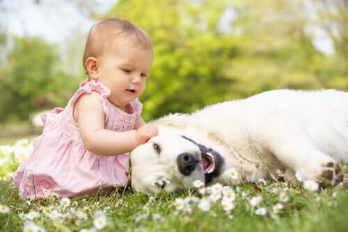 Dziecko bawi się z psem