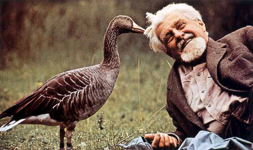 Konrad Lorenz, dziedzictwo w postaci nowej dziedziny nauki