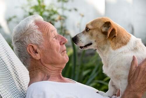 Uśmiechnięty, starszy mężczyzna i pies twarzą w twarz