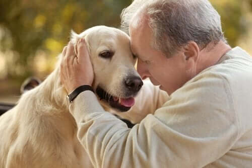 Terapia z udziałem zwierząt kontra choroba Alzheimera