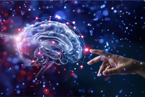 Nawyki które dbają o mózg i zmniejszają ryzyko demencji