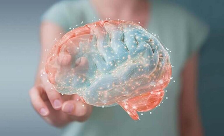 Endokannabinoidy - produkowane przez mózg substancje o działaniu podobnym do marihuany