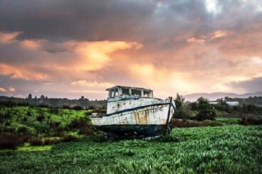 Statek Tezeusza jako paradoks tożsamości