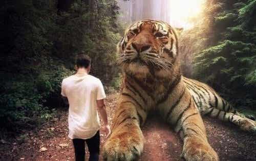 Mężczyzna przed tygrysem