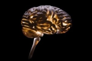 Neurokryminologia: jak zrozumieć przestępczość