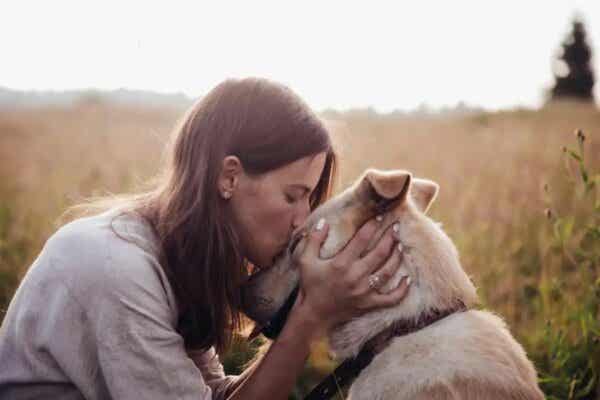 Kobieta całująca psa - miłość do zwierząt