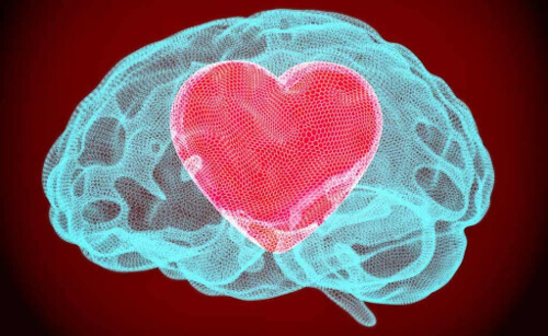 Mózg i serce