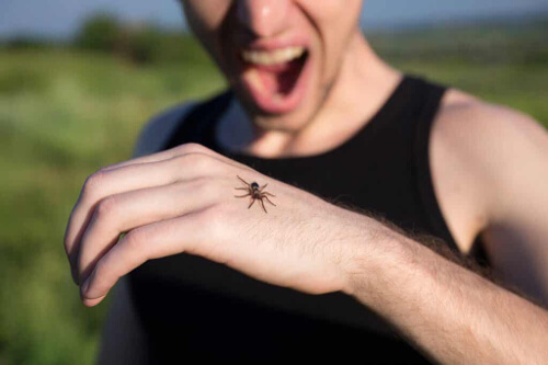 Arachnofobia