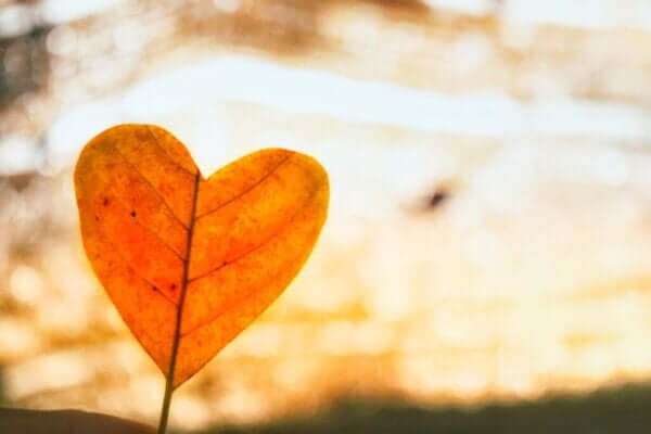 Bezwarunkowa miłość w przezwyciężeniu bólu rozstania