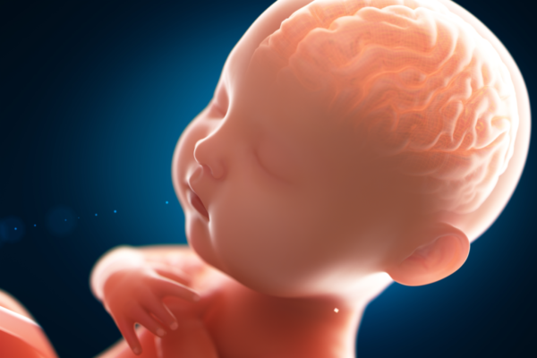 Od urodzenia do czterech lat to najbardziej decydująca faza dla mózgu