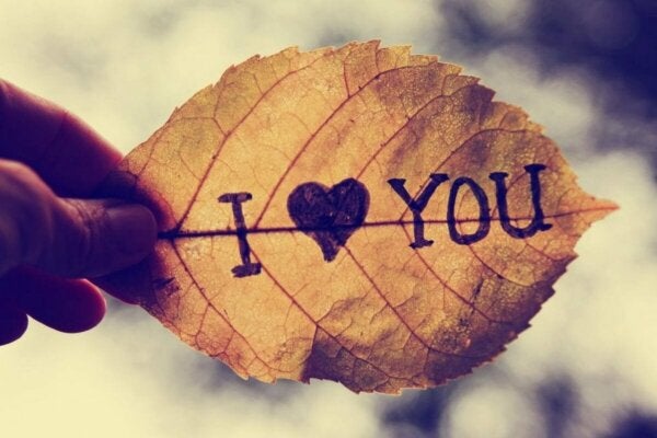 Słowa „Kocham Cię” mają wiele znaczeń