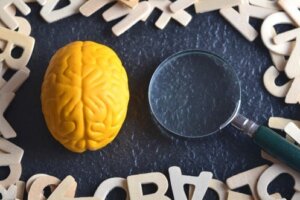 Psychologia eksperymentalna
