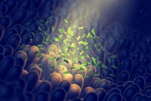 Mikrobiota i depresja: jak są ze sobą powiązane?