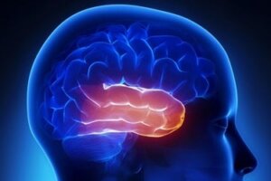 Walter B., najbardziej fascynujący przypadek neurologa Olivera Sacksa