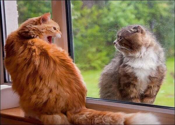 Czy powinieneś trzymać wrogów blisko?