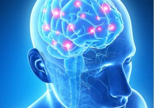 Chip pamięci dla Twojego mózgu: science fiction?