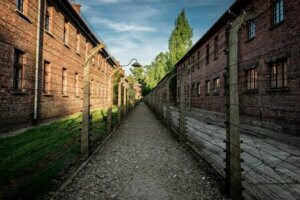 Historia miłosna wśród okropności Auschwitz