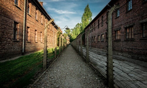 Historia miłosna wśród okropności Auschwitz