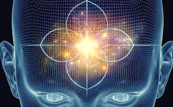 Przysadka mózgowa i szyszynka: funkcje i charakterystyka