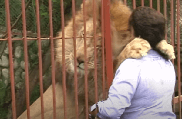 Ana Julia Torres, zbawicielka zwierząt