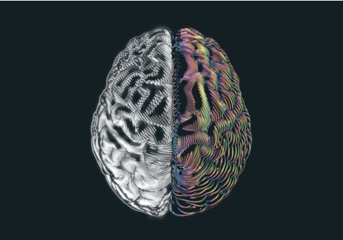 Ludzie z połową mózgu: zaskakujące odkrycia na ich temat