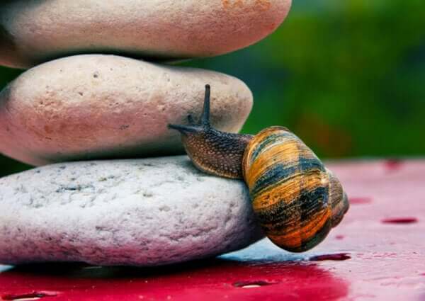 Albert Bandura i teoria własnej skuteczności