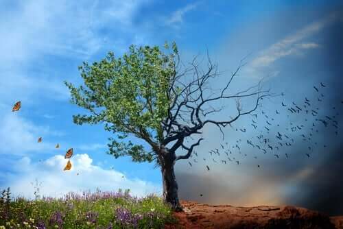 Zdrowie środowiskowe i jego znaczenie