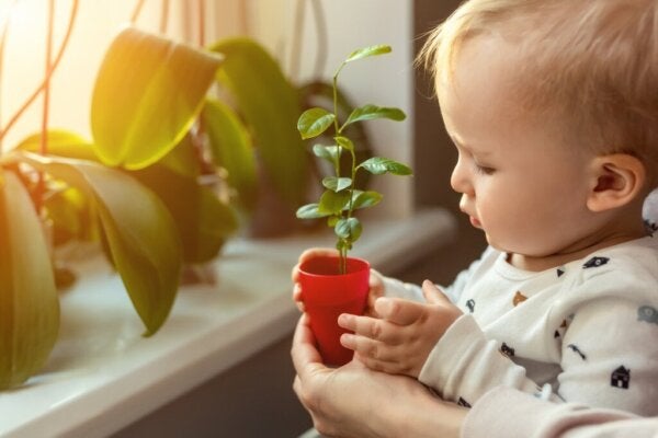 Elastyczność poznawcza u niemowląt: jak ją rozwijać?