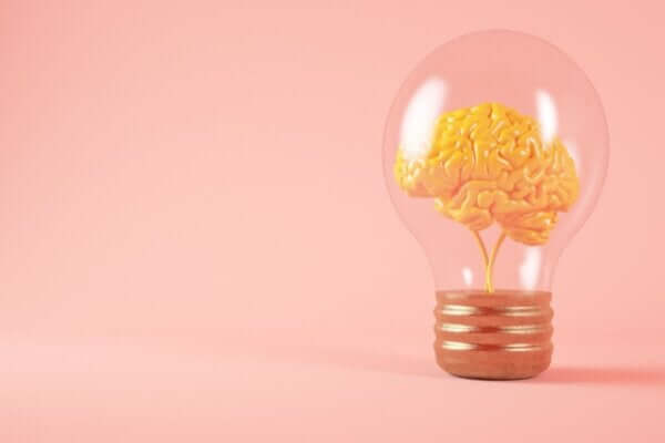 Inteligencja - kilka ciekawych faktów na jej temat