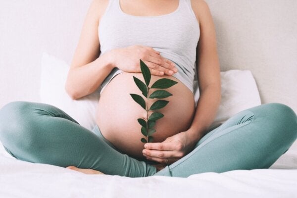 Emocje matki – czy niemowlęta mogą je odczuwać, będąc w łonie matki?