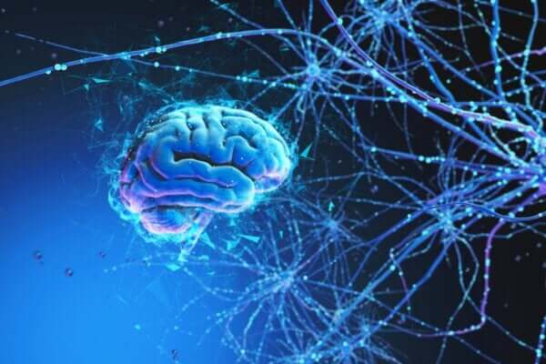 Mózg i wszechświat mają wiele wspólnych cech