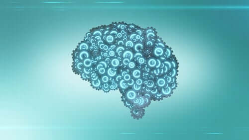 Jaki procent mózgu używamy?