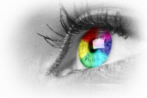 Tetrachromatycy widzą życie w milionach kolorów