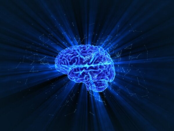 Ciemna materia umysłu - na co nasz mózg zużywa energię?