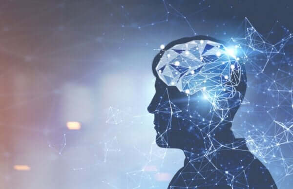 David Eagleman: biografia eksperta od mózgu