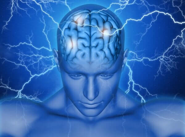 Dodatkowy obszar motoryczny mózgu