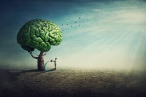 Terapia psychodeliczna
