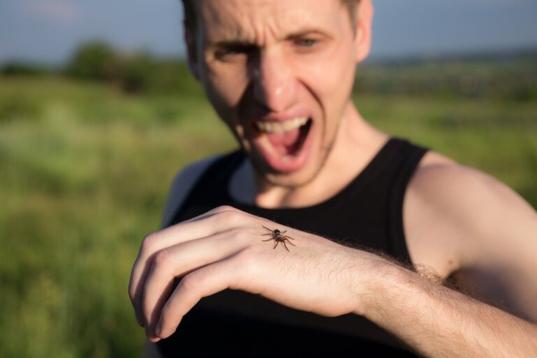 Arachnofobia, strach przed pająkami